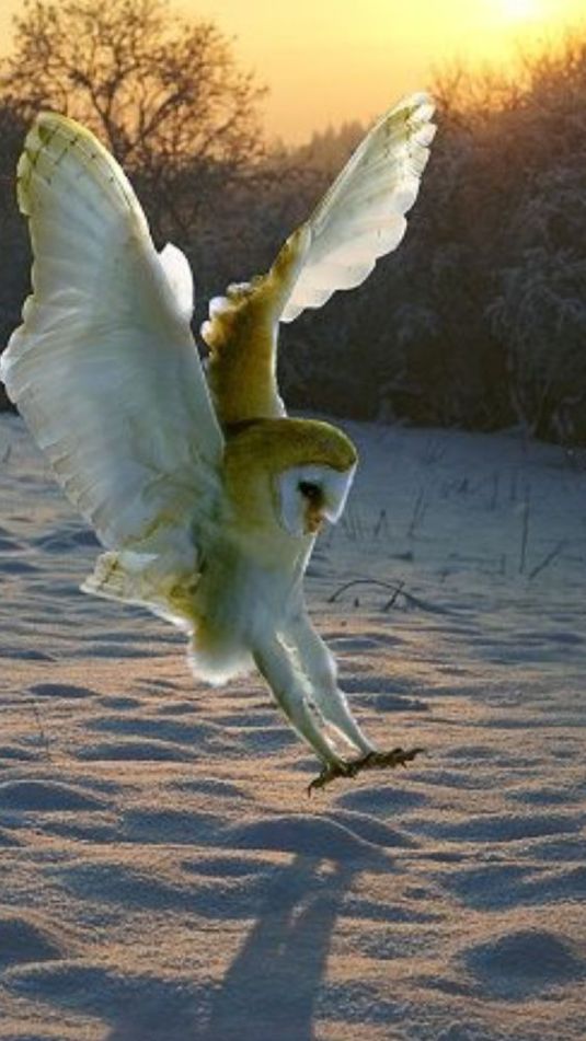 002587ca567a42fe2d42f86d6207ad22