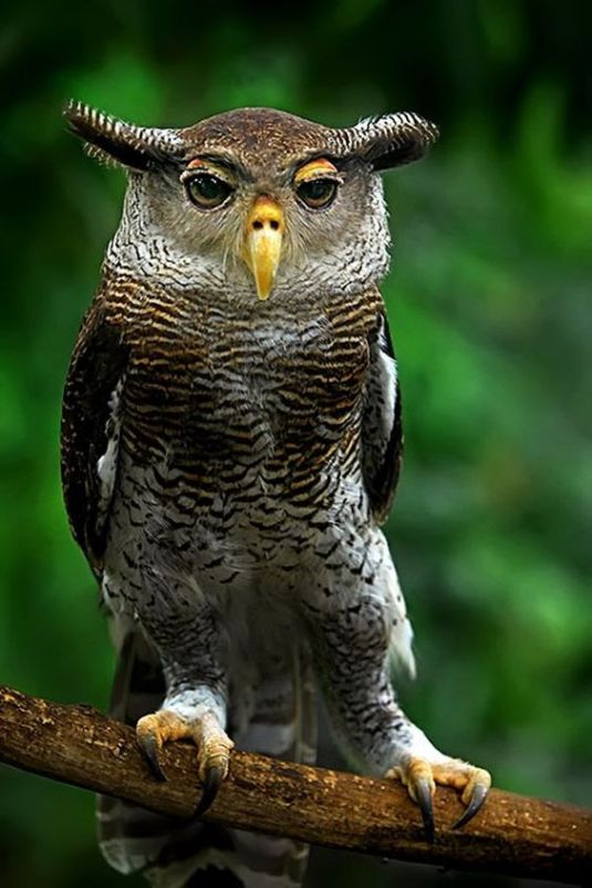 e49f884c0b51c119ec5c225ad3e3c059