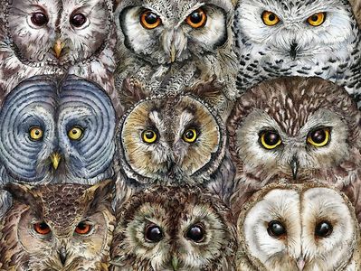 050d12709f4dc73bf85705e1df55db40