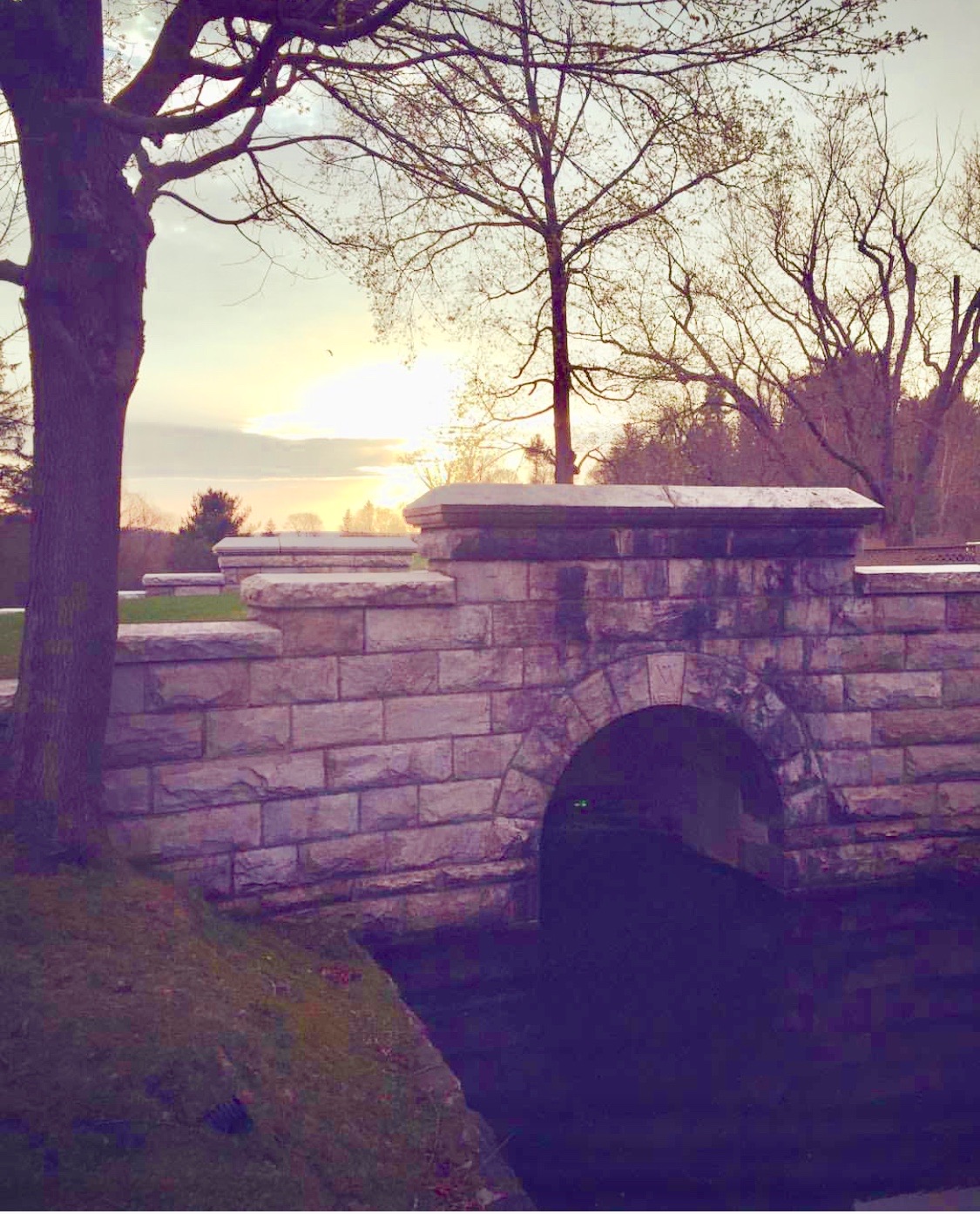 ponds@FoxHillLenoxMA