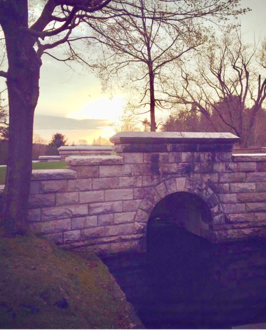 ponds@FoxHillLenoxMA