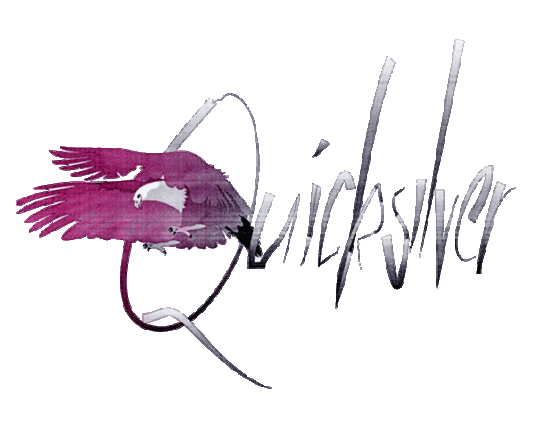 QUICKSILVER!logo3