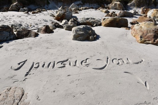 AndrewVanDerMerwe.jpg56_o