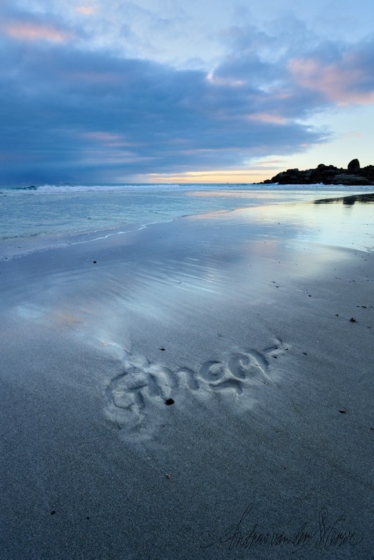 GingerbyAndrewVanDerWerwe