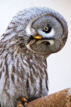 b5abc259d3d30abe8adc7b5954322546