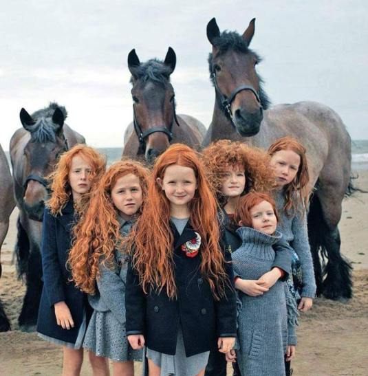 redheadsLOVEhorses