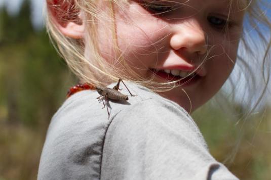 chip offThe Old Block