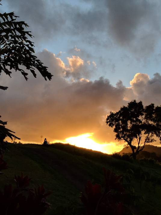 Sunrise at Joy Acey'sKapa'a Kauai