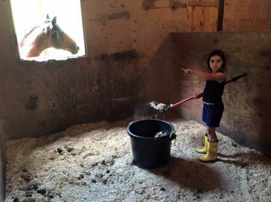 AnnikaMucks out the stable