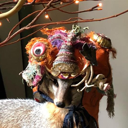 photoAndCatbyJByronSchachter