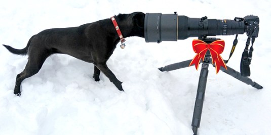 bb478ece-8b7d-4411-a26a-8b4f02b6fafd