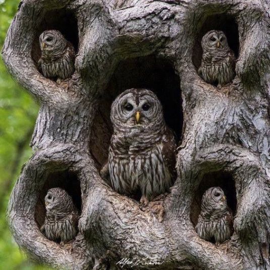 0d8cbc21553ad44159552065460f02c6