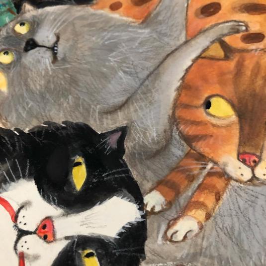 52134334_1851999541589802_7501879437298761728_o