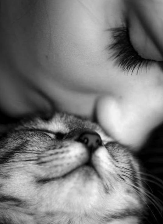 postedByCharJonesKissing Spot