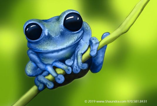 blueTreeFrog