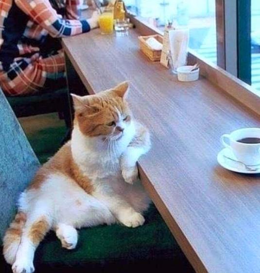 coffeeSpotbyCharJones