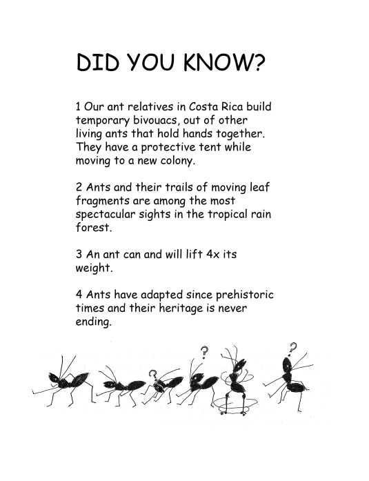 The Roller Skating Ant21