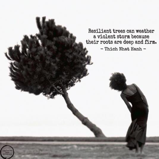 37394270_1344637738972043_8097520525703643136_n