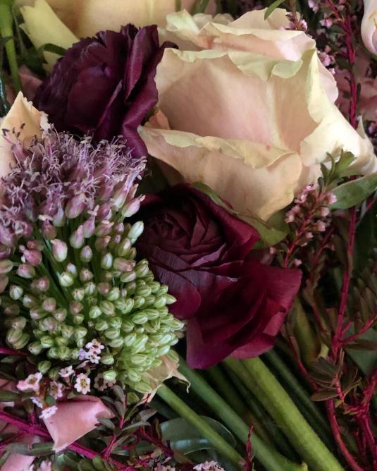 JByronSchachnervelvet and silk