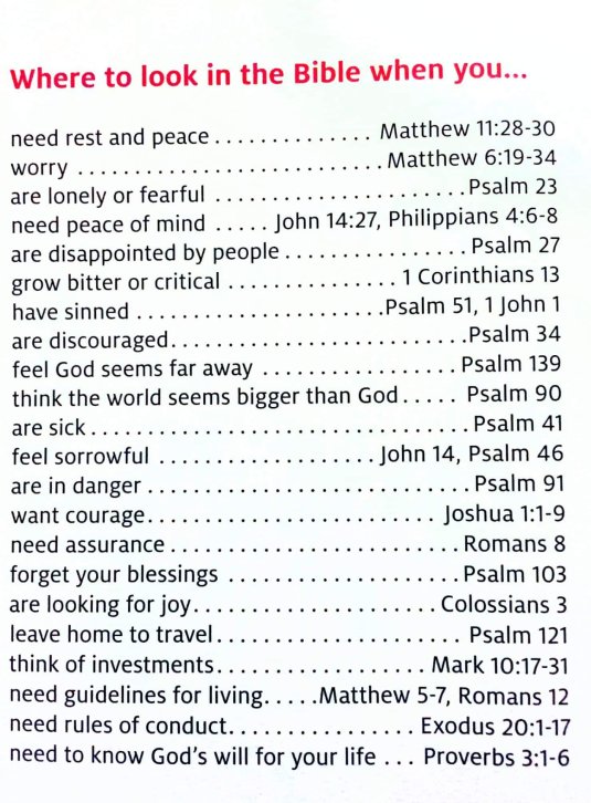 52597928_10217713628253275_6988386728075591680_o