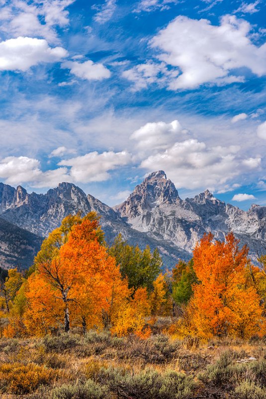 autumn-grand-teton-44-4808