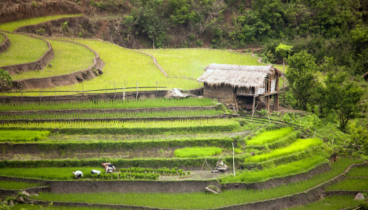 The 3 photos are by Lan Nguyen Kim