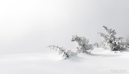 winter-yellowstone-106-5719-1