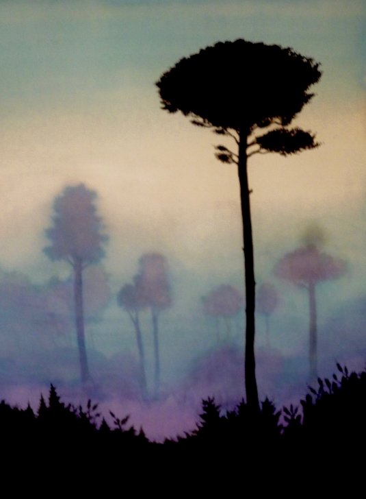 90020229_825253407984537_680812454548078592_o