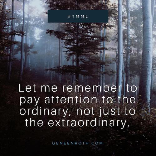 35295481_10155954061216773_8354084623378022400_n