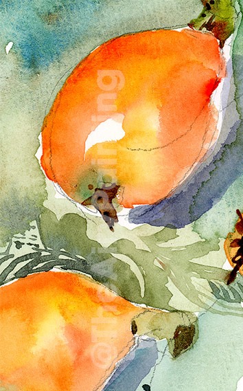 118403651_197061321838184_3416899528534570137_n