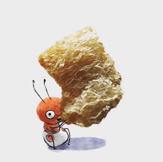 118998135_10215861712970324_8176228208475555660_n