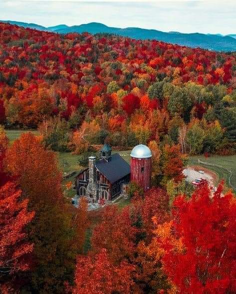 120139298_3639929866030881_4562440694786169401_n