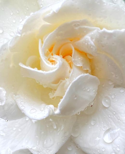 120614795_10223448143531688_3449730688771493522_n