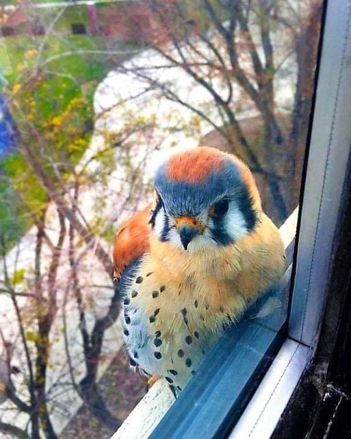 129898773_1540029439538310_8559366187340867992_n