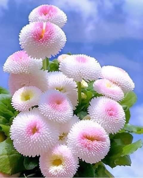 140028875_256261692524079_3727512307995916080_n