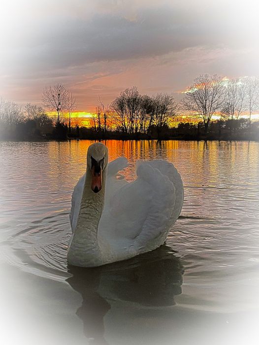 151259322_2879303742336606_8696887634408403510_o