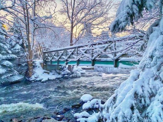 143179093_10159392597619551_3759249047812811470_n