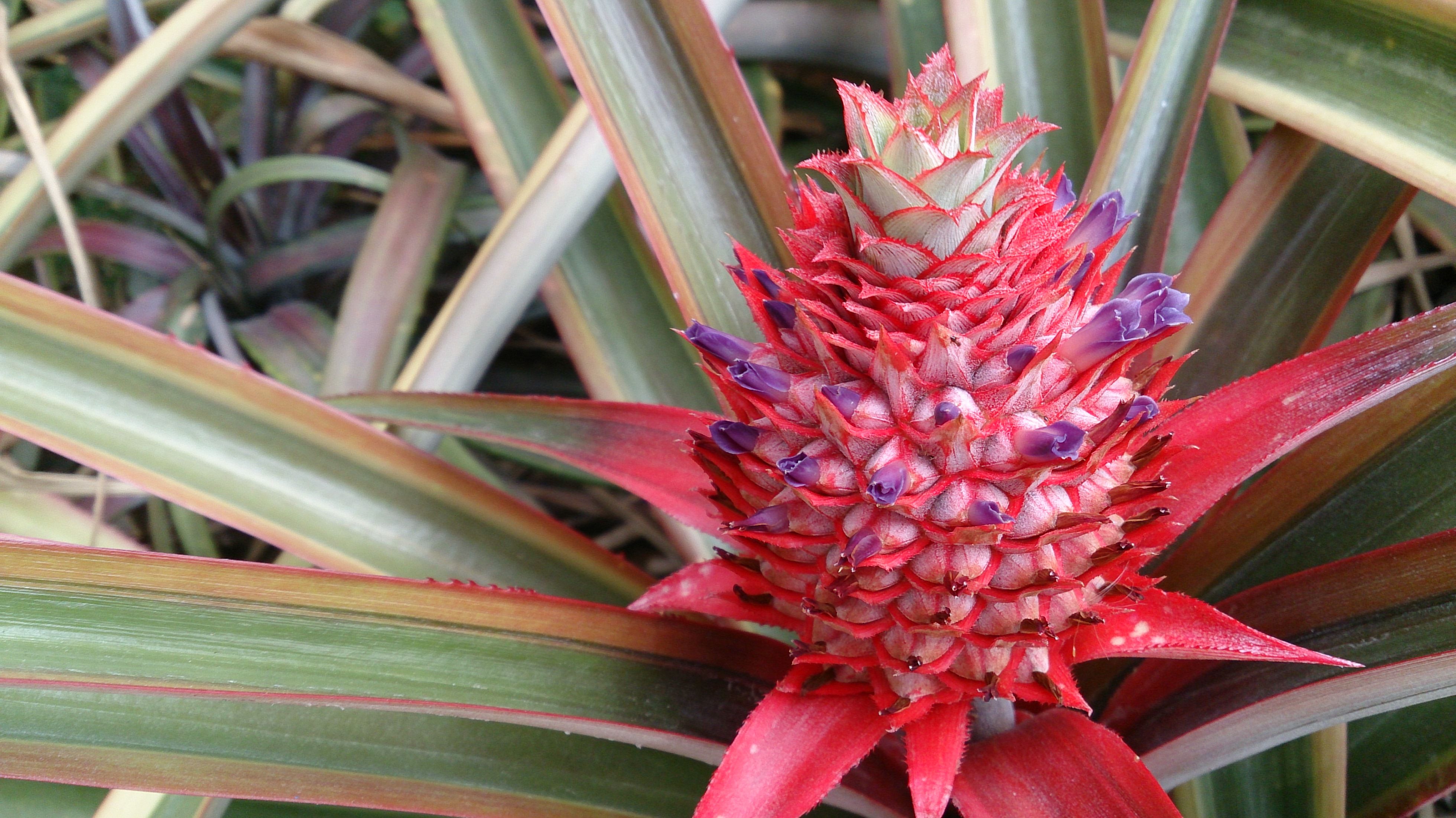 e10cd91efa426a17e647e44b78ea65b2