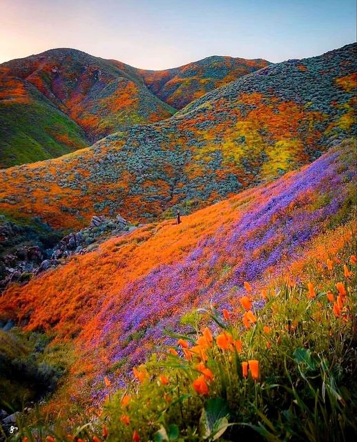 182744094_3994400663974053_4892134040318300029_n