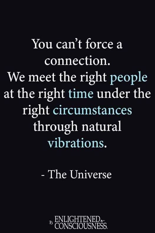 222105912_10165268397725287_1967794861810288822_n