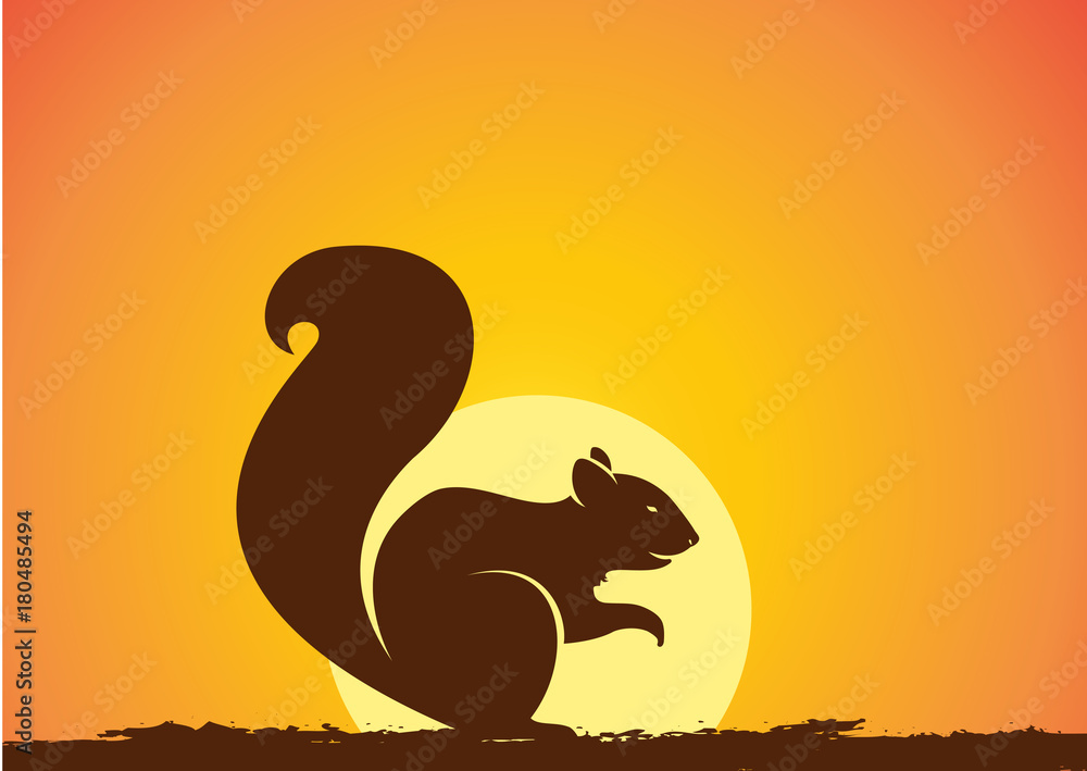 squirrelSilouette