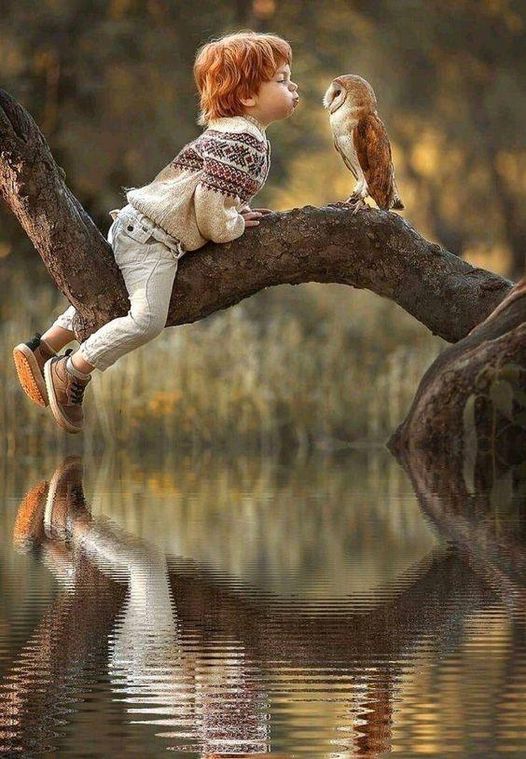 285849450_10161877429904418_5443093090354821955_n