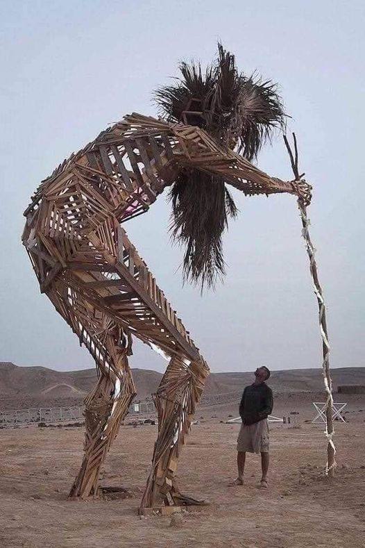 293629911_3988254694732152_3537822722950235282_n