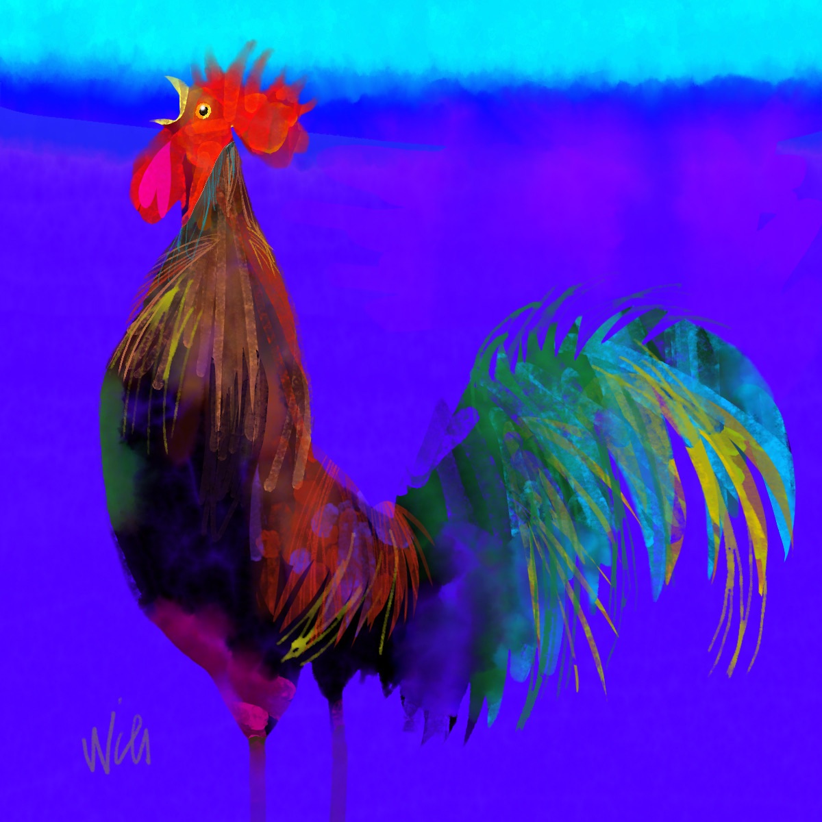 fiddlecockbyHillenbrand.jpg.