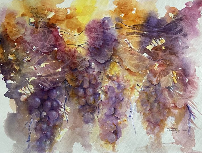 326509804_739574877725062_2438602445851387886_n