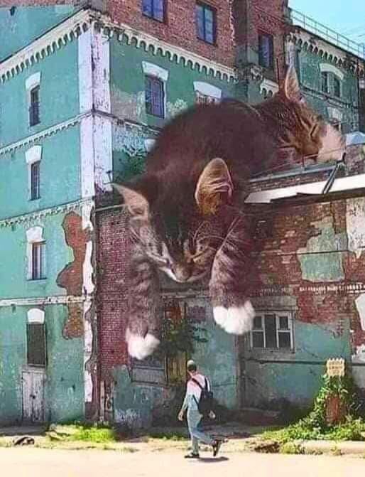 326513301_714801523575581_6181310362074707680_n