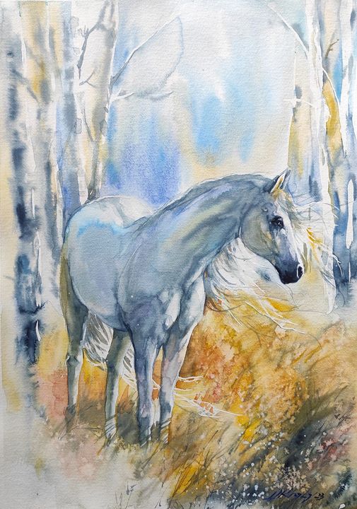 361957007_3492050071069644_3626049234116597307_n copy