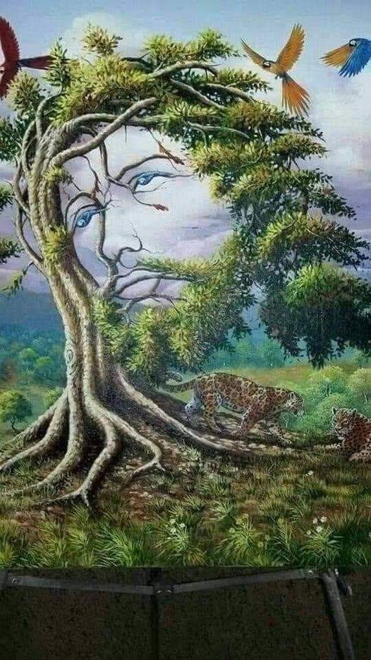 404574975_281601328208335_81188034012982402_n