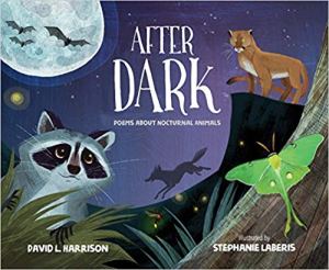 after-dark-cover