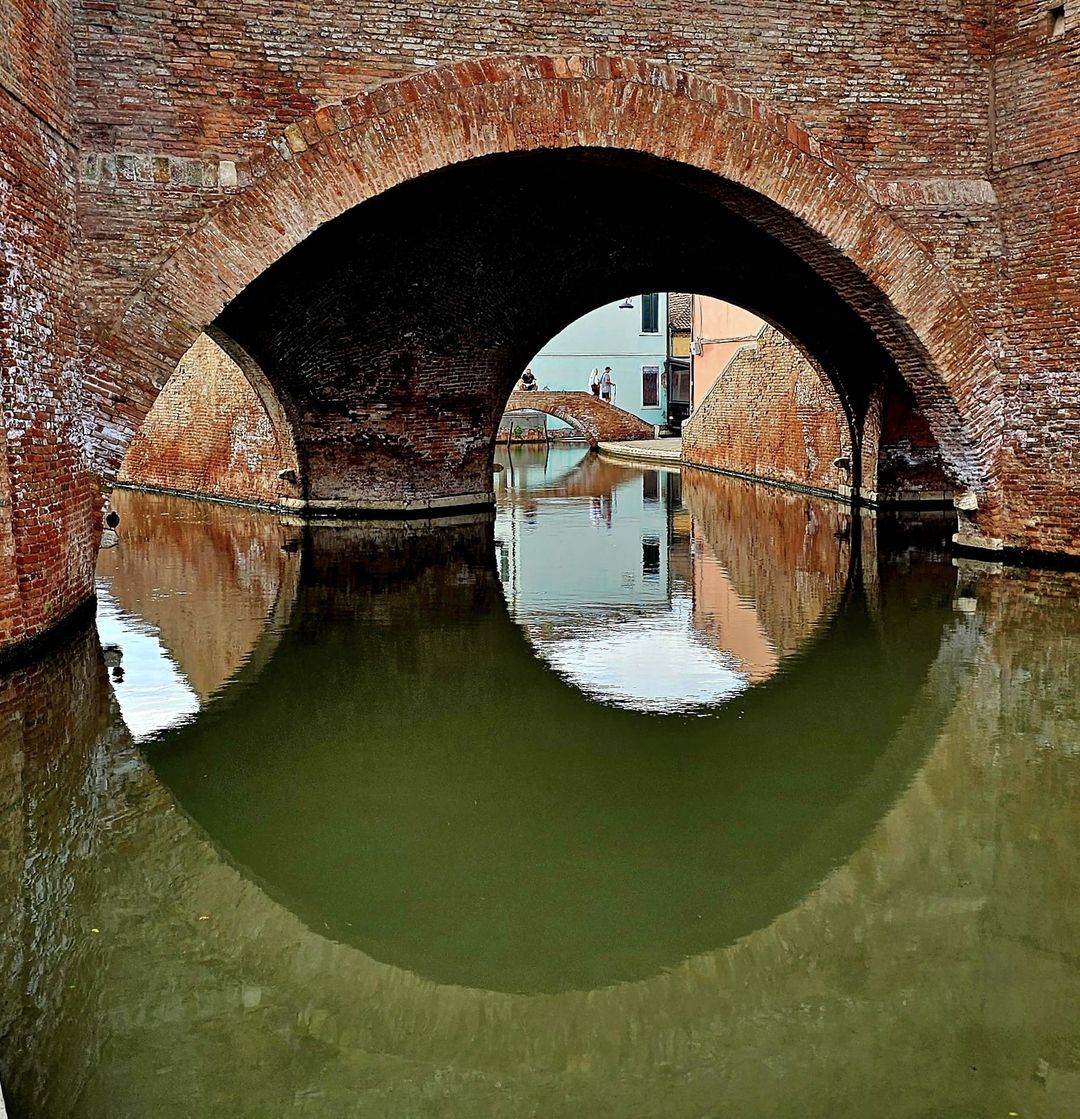 455974444_10229785422414161_3243950568289562972_n